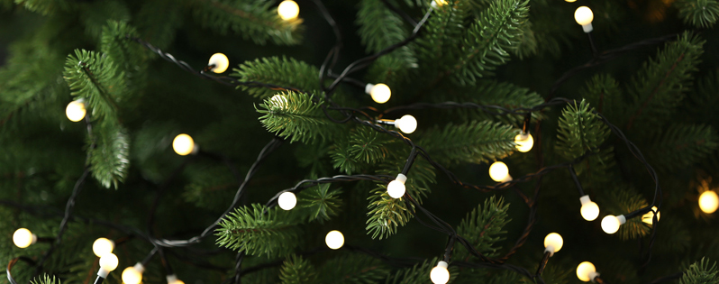 Come mettere le luci sull'albero di Natale - 1