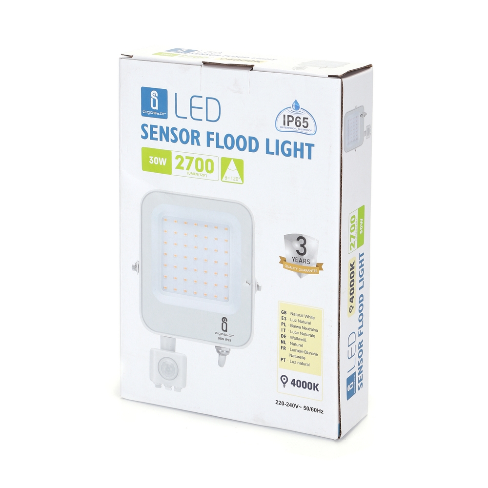 Faro proiettore Led 30W Bianco da esterno IP65 Bianco neutro 4000K con  sensore crepuscolare e di movimento Aigostar 