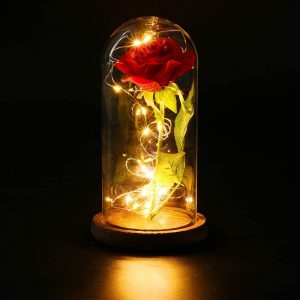 Foto principale Campana decorativa Rosa eterna illuminata da MicroLed Bianco Caldo a batteria Wisdom