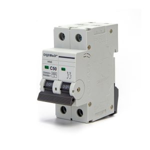 Foto principale Interruttore automatico magnetotermico modulare Aigostar 2P 50A Aigostar