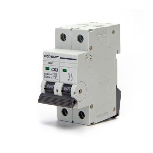 Foto principale Interruttore automatico magnetotermico modulare Aigostar 2P 63A Aigostar