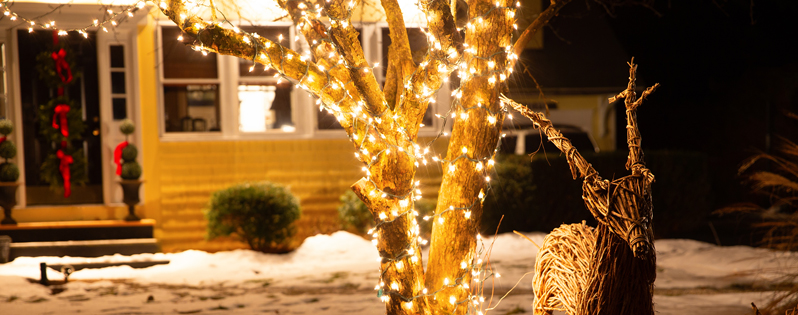 Come illuminare il giardino per Natale con le luci Led - 1