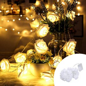 Foto principale Catena decorata con 10 Rose luminose a Led Bianco Caldo fisso e intermittente 1 metro a batteria Wisdom
