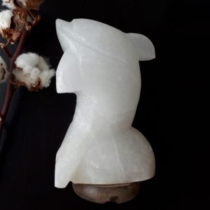 Foto principale Lampada di Sale Himalayano Bianco naturale a forma di Delfino 3-4Kg