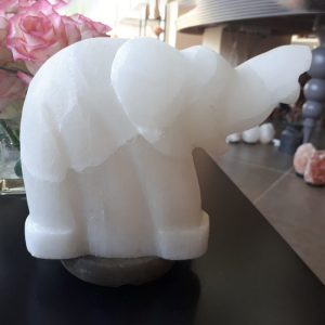 Foto principale Lampada di Sale Himalayano Bianco naturale a forma di Elefante 3-4Kg