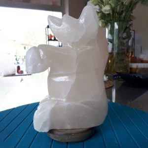 Foto principale Lampada di Sale Himalayano Bianco naturale a forma di Orsetto 3-4Kg