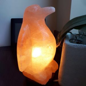 Foto principale Lampada di Sale Himalayano Rosa naturale a forma di Pinguino 3-4Kg