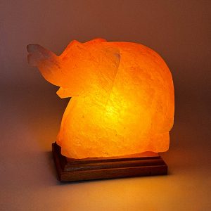 Foto principale Lampada di Sale Himalayano Rosa naturale a forma di Elefante 3-4Kg
