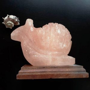 Foto principale Lampada di Sale Himalayano Rosa naturale a forma di Lumaca 3-4Kg