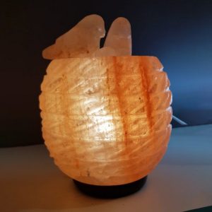 Foto principale Lampada di Sale Himalayano Rosa naturale a forma di Nido 3-4Kg