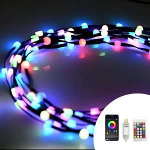 Foto principale Catena di luci Led Smart 6 metri 100 Led sferette RGB-IC Bluetooth USB con telecomando Wisdom