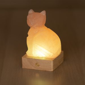 Foto principale Lampada di Sale Himalayano a batteria Rosa naturale a forma di Gatto 600gr
