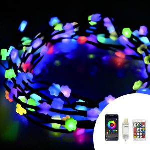 Foto principale Catena di luci Led Smart 6 metri 100 Led fiorellini RGBIC Bluetooth USB con telecomando Wisdom