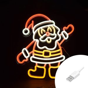 Foto principale Babbo Natale luminoso da 40x40cm Led Neon Flex USB da interno Wisdom
